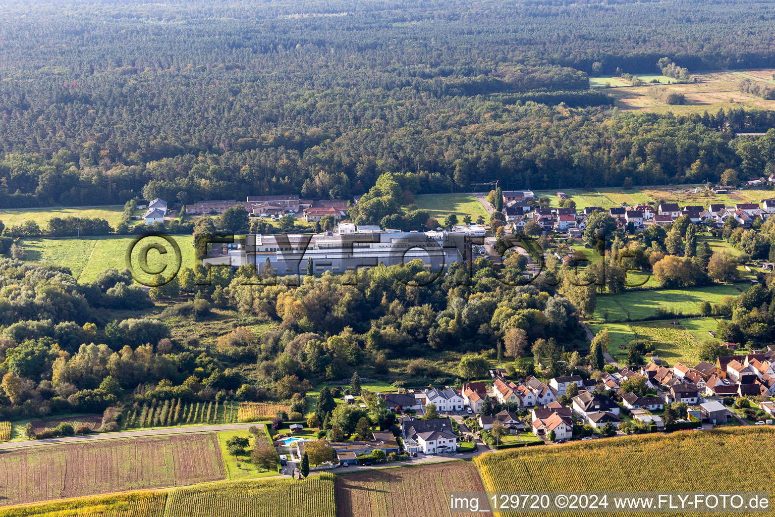 Photographie aérienne de Webasto Mécatronique à le quartier Schaidt in Wörth am Rhein dans le département Rhénanie-Palatinat, Allemagne