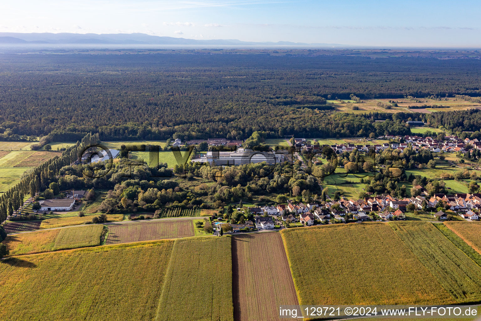 Vue oblique de Webasto Mécatronique à le quartier Schaidt in Wörth am Rhein dans le département Rhénanie-Palatinat, Allemagne