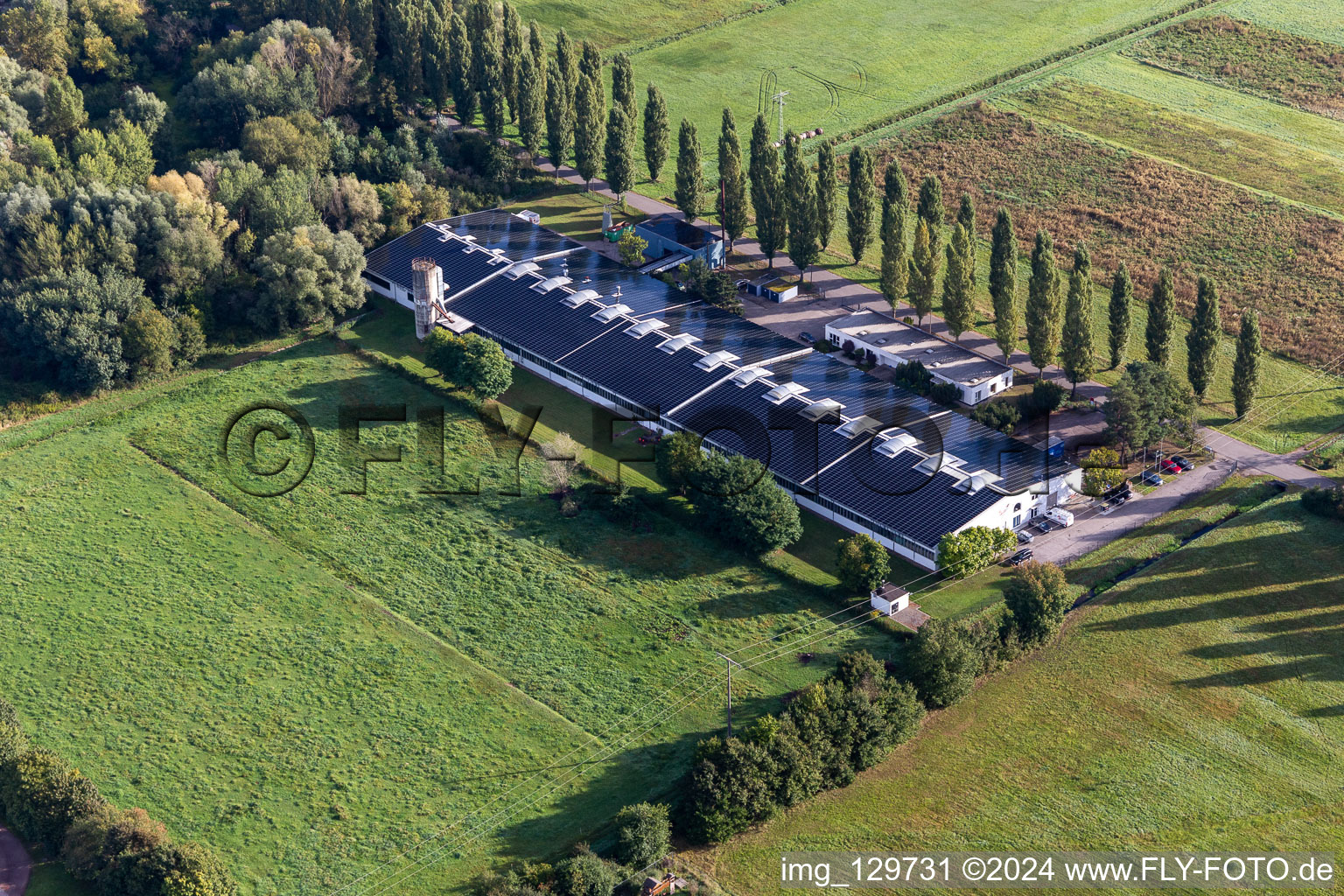 Vue aérienne de Cactus Druck & Verlags-GmbH à le quartier Schaidt in Wörth am Rhein dans le département Rhénanie-Palatinat, Allemagne