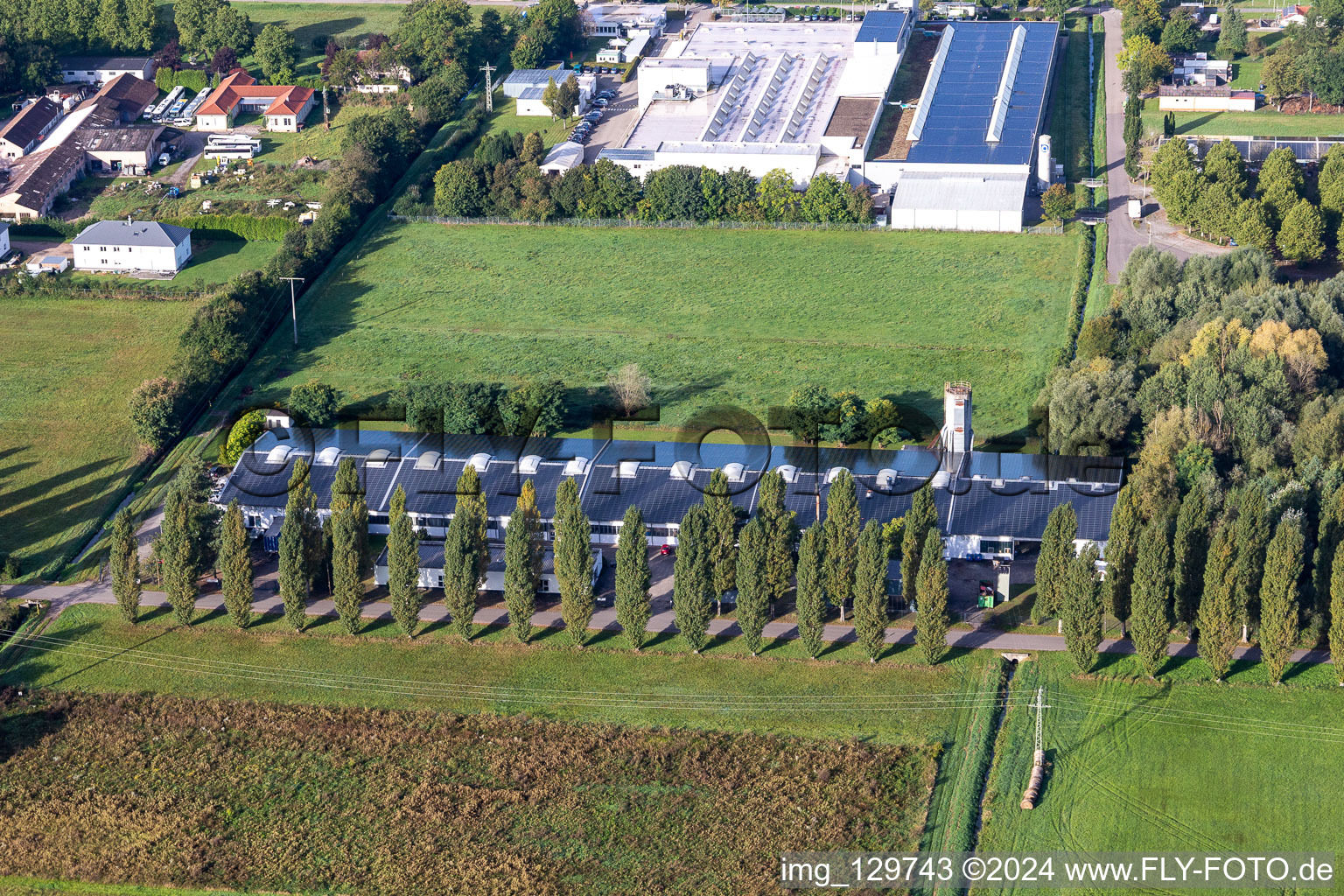 Vue aérienne de Cactus Druck & Verlags-GmbH à le quartier Schaidt in Wörth am Rhein dans le département Rhénanie-Palatinat, Allemagne