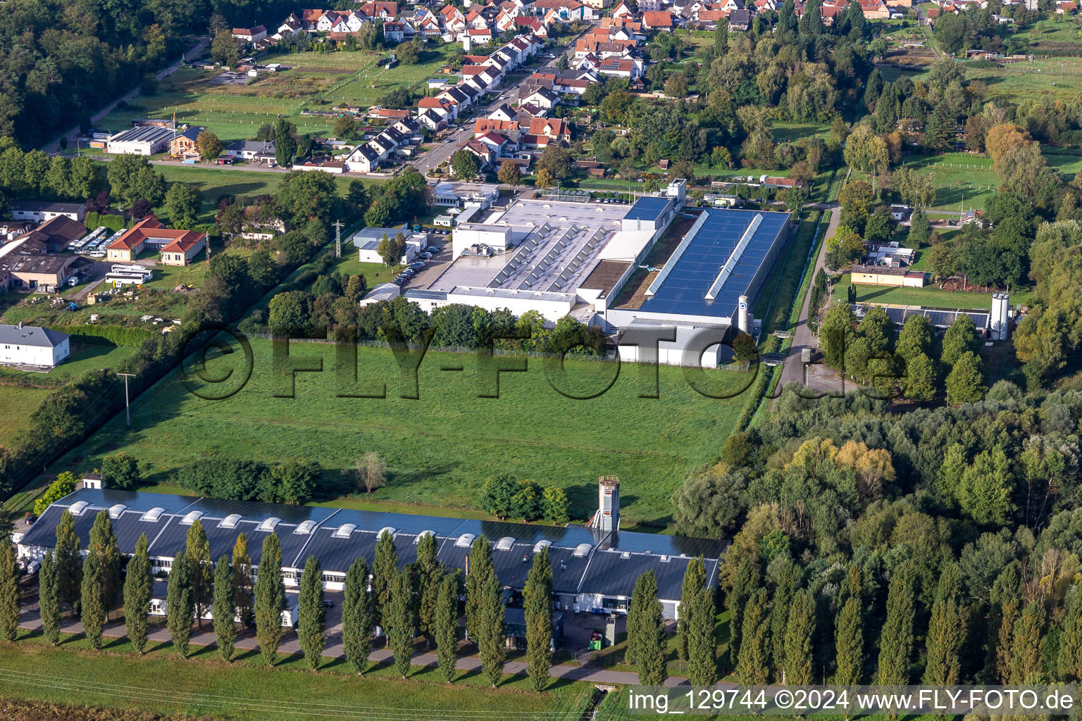 Photographie aérienne de Cactus Druck & Verlags-GmbH à le quartier Schaidt in Wörth am Rhein dans le département Rhénanie-Palatinat, Allemagne