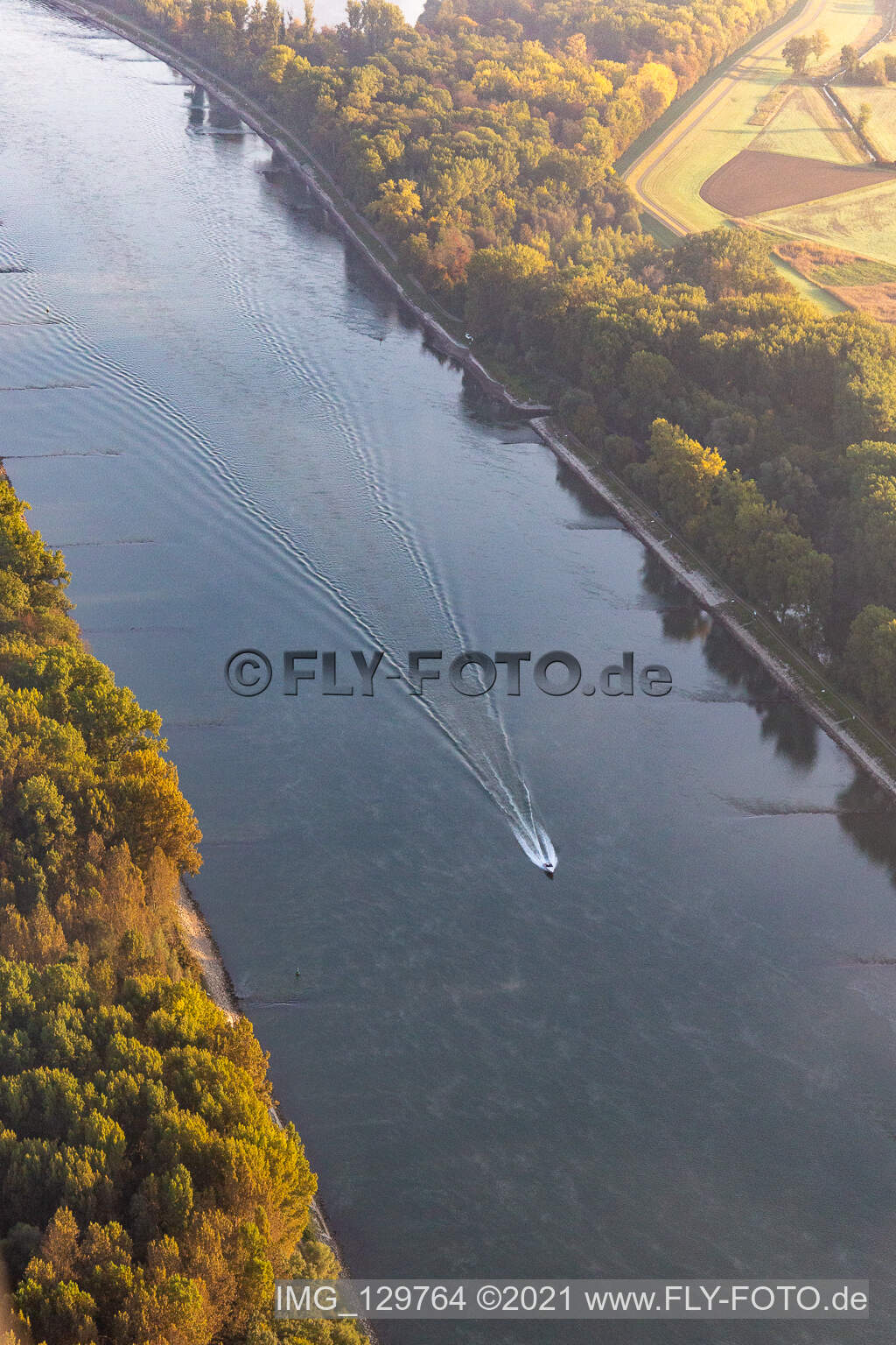 Vue aérienne de Bateau de plaisance sur le Rhin à Hördt dans le département Rhénanie-Palatinat, Allemagne