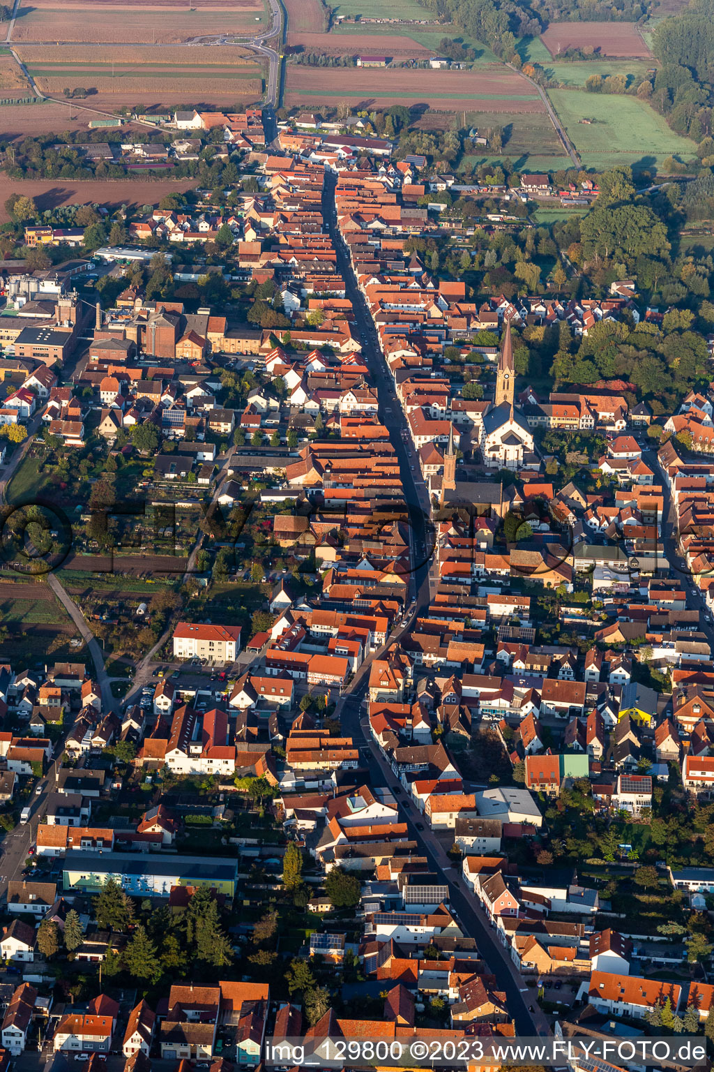 Photographie aérienne de Vue des rues et des maisons des quartiers résidentiels à Bellheim dans le département Rhénanie-Palatinat, Allemagne