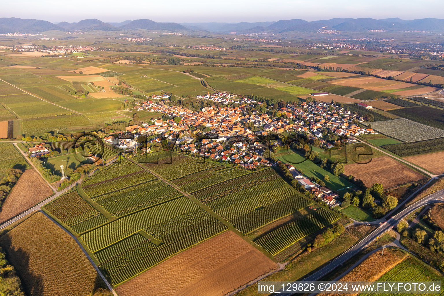 Vue aérienne de Avec nouveau contournement B38 à Impflingen dans le département Rhénanie-Palatinat, Allemagne