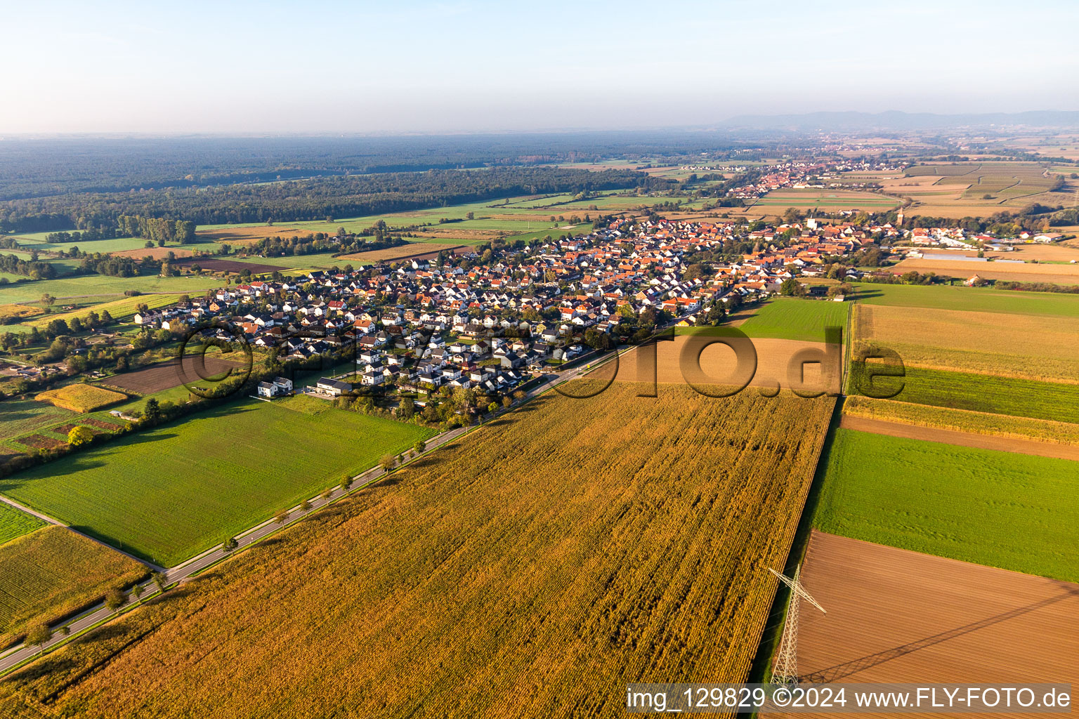 Minfeld dans le département Rhénanie-Palatinat, Allemagne hors des airs