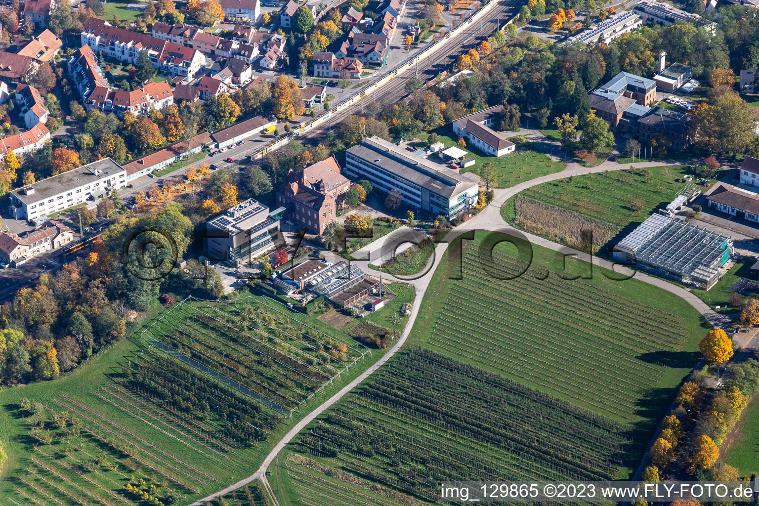 Vue aérienne de Centre de technologie agricole d'Augustenberg à le quartier Durlach in Karlsruhe dans le département Bade-Wurtemberg, Allemagne