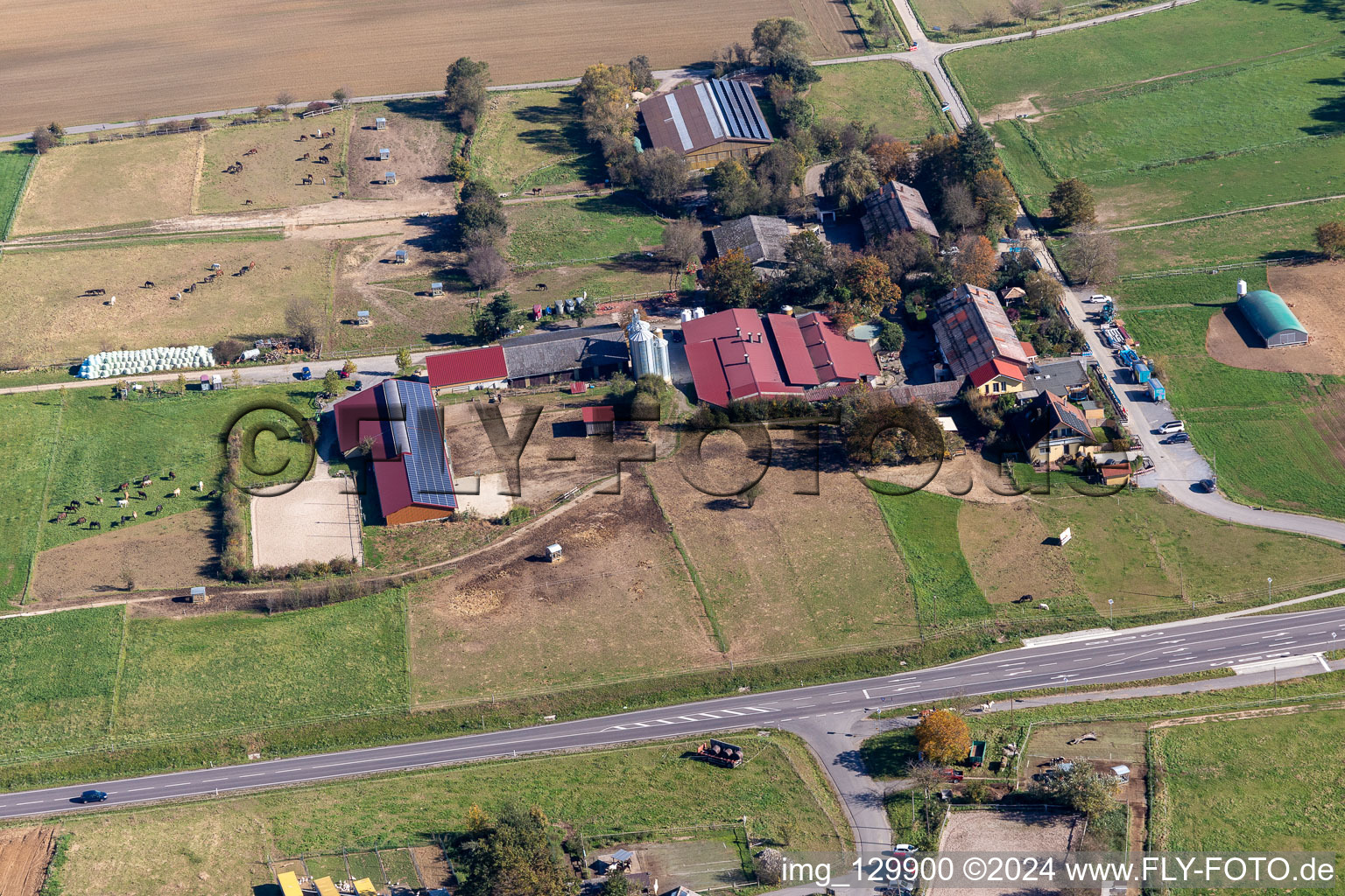 Vue aérienne de Ferme avicole Denninger à le quartier Langensteinbach in Karlsbad dans le département Bade-Wurtemberg, Allemagne