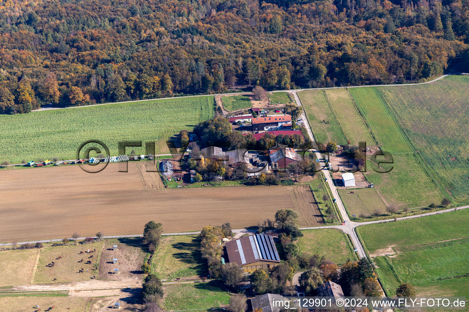 Vue aérienne de Erlebnishof Karlsbad, magasin de la ferme Beckers Steinighoflädle à le quartier Langensteinbach in Karlsbad dans le département Bade-Wurtemberg, Allemagne