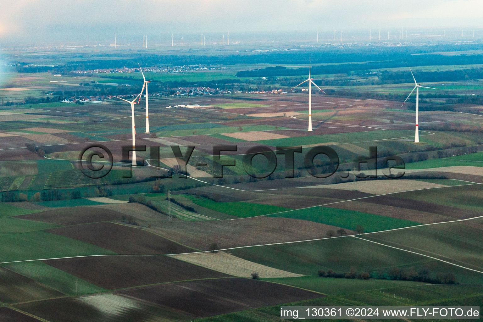 Vue oblique de Parc éolien à Freckenfeld dans le département Rhénanie-Palatinat, Allemagne