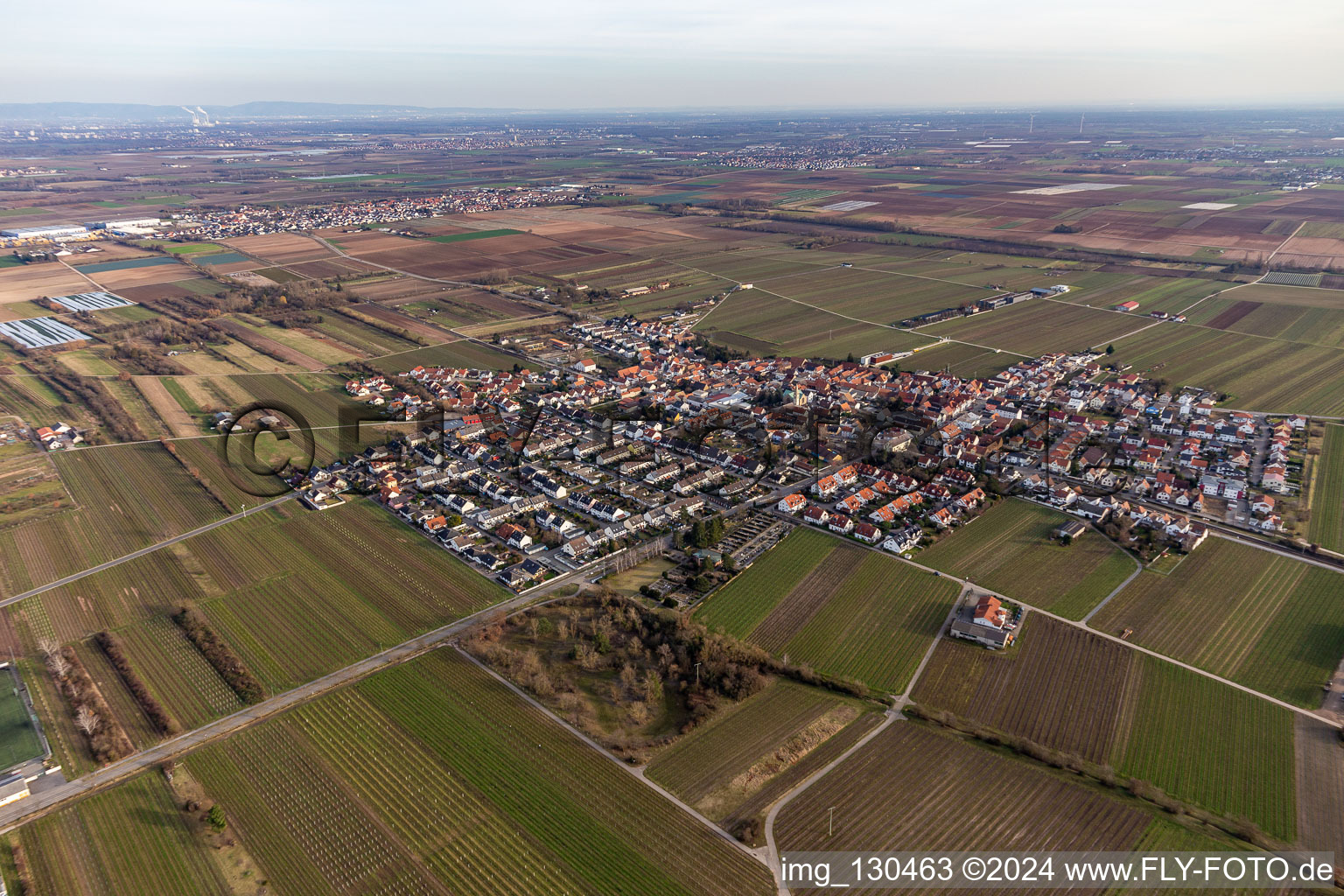 Ellerstadt dans le département Rhénanie-Palatinat, Allemagne depuis l'avion