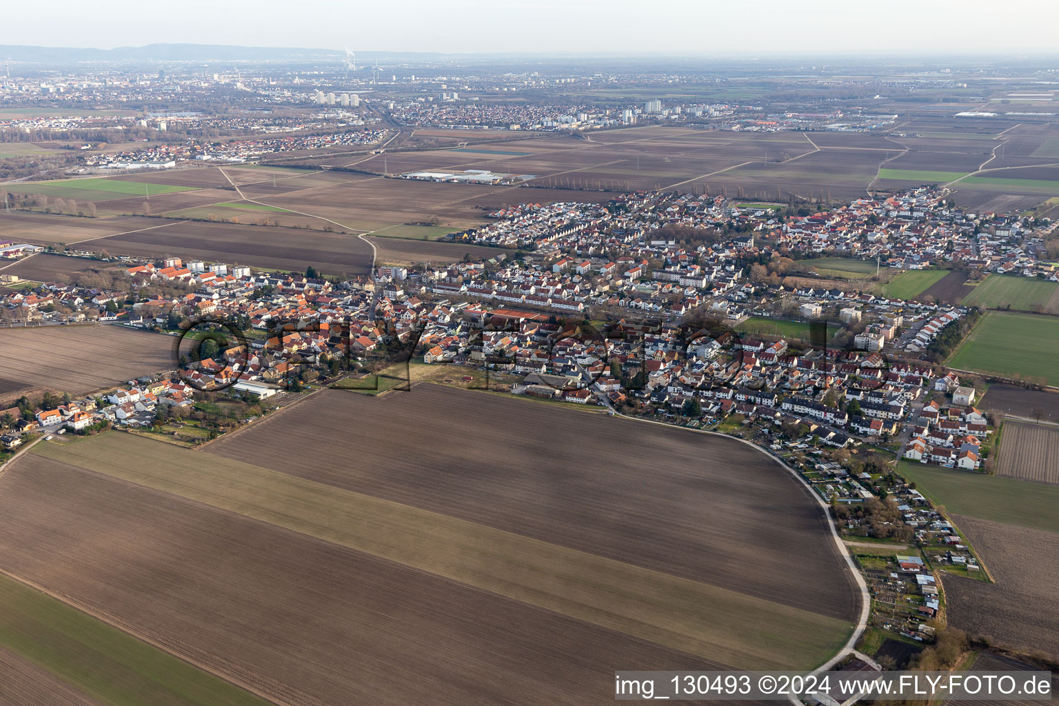 Vue aérienne de Quartier Flomersheim in Frankenthal dans le département Rhénanie-Palatinat, Allemagne