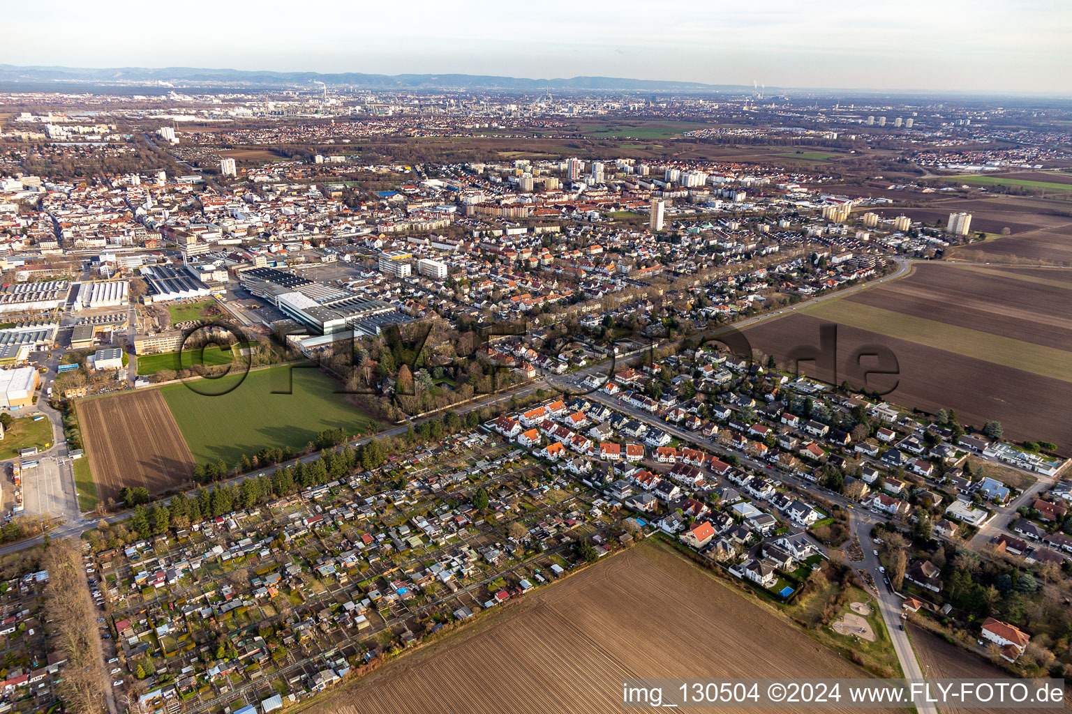 Vue aérienne de Rue Lambsheimer à Frankenthal dans le département Rhénanie-Palatinat, Allemagne