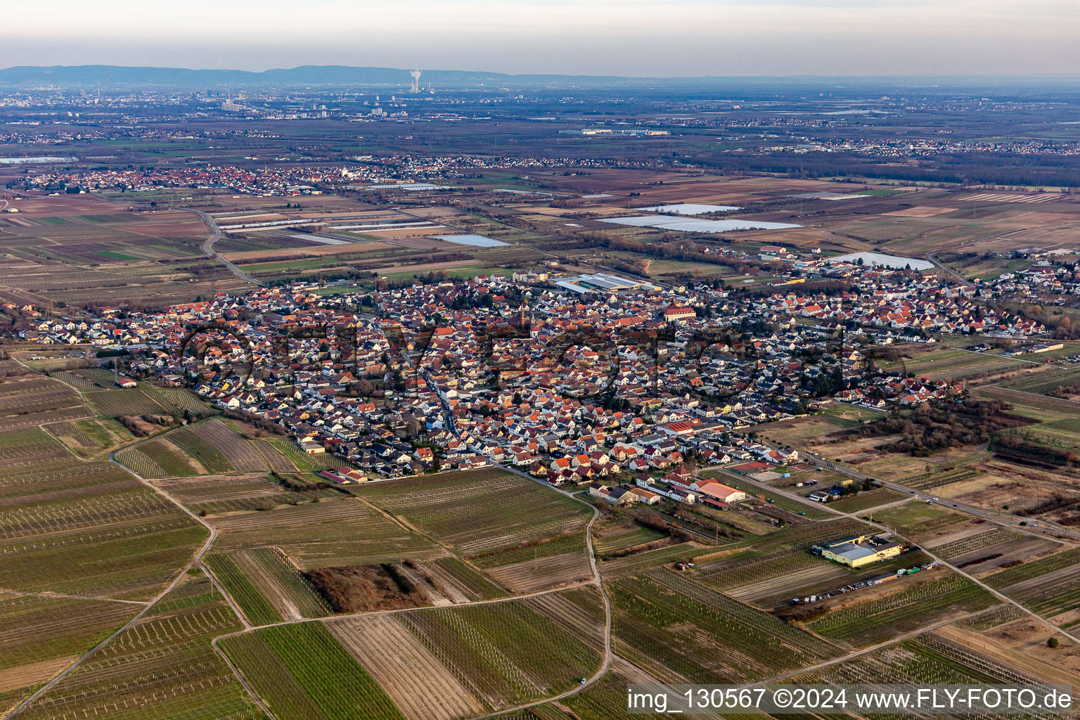 Photographie aérienne de Weisenheim am Sand dans le département Rhénanie-Palatinat, Allemagne