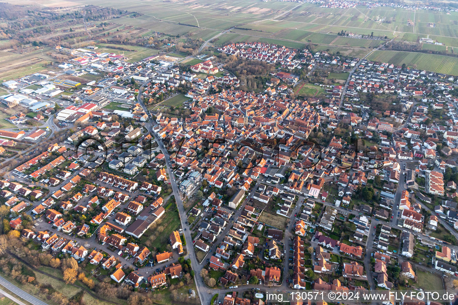 Vue aérienne de Pâturage de la vallée à Freinsheim dans le département Rhénanie-Palatinat, Allemagne