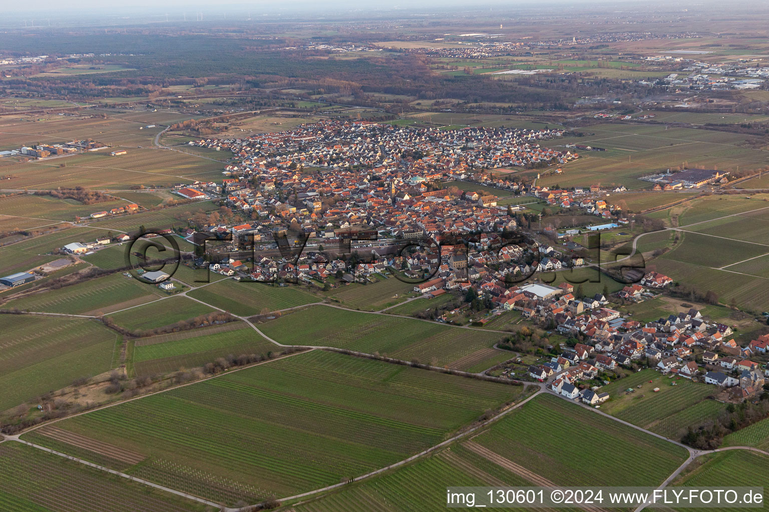 Vue d'oiseau de Quartier Mußbach in Neustadt an der Weinstraße dans le département Rhénanie-Palatinat, Allemagne