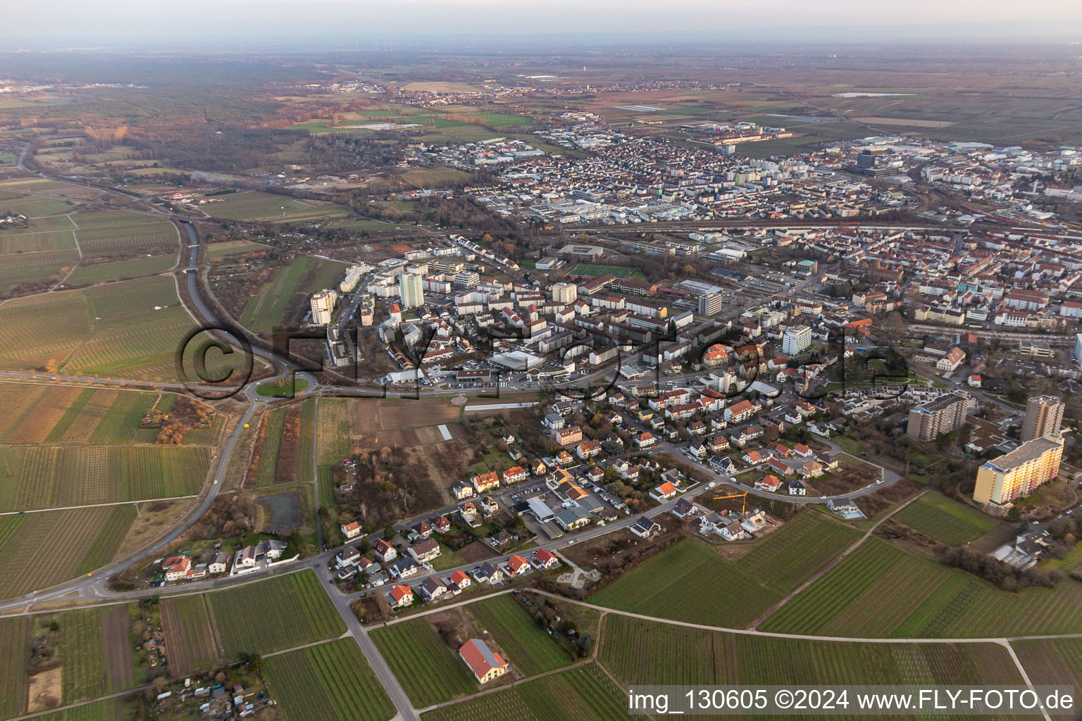 Vue aérienne de Neustadt an der Weinstraße dans le département Rhénanie-Palatinat, Allemagne