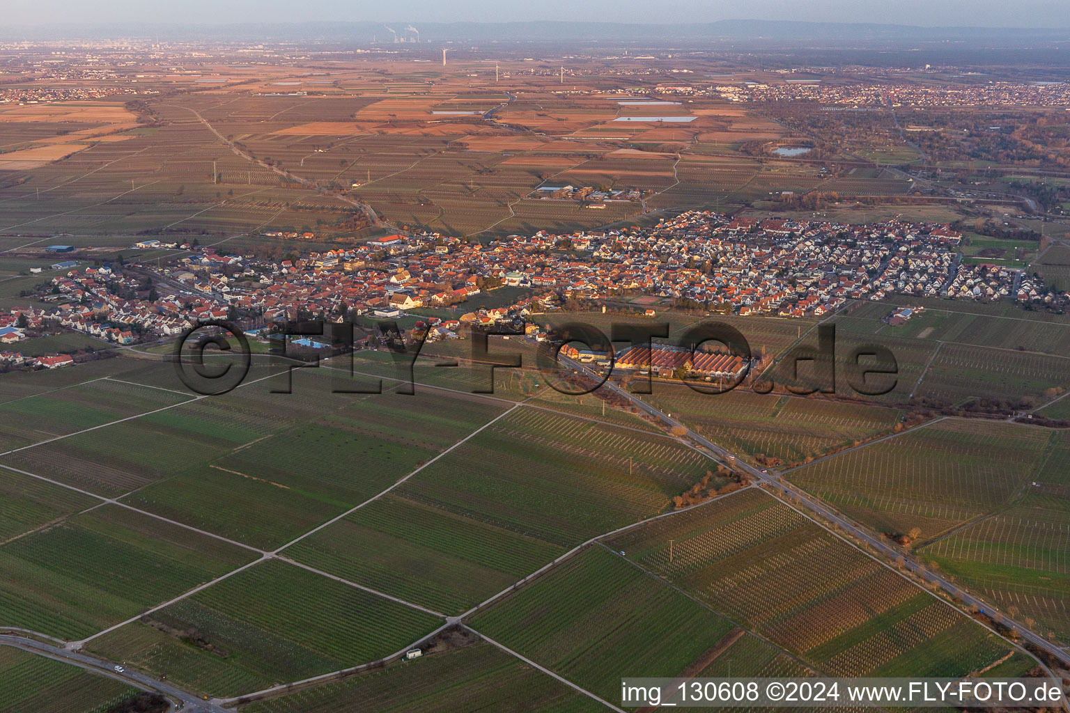 Quartier Mußbach in Neustadt an der Weinstraße dans le département Rhénanie-Palatinat, Allemagne vue du ciel