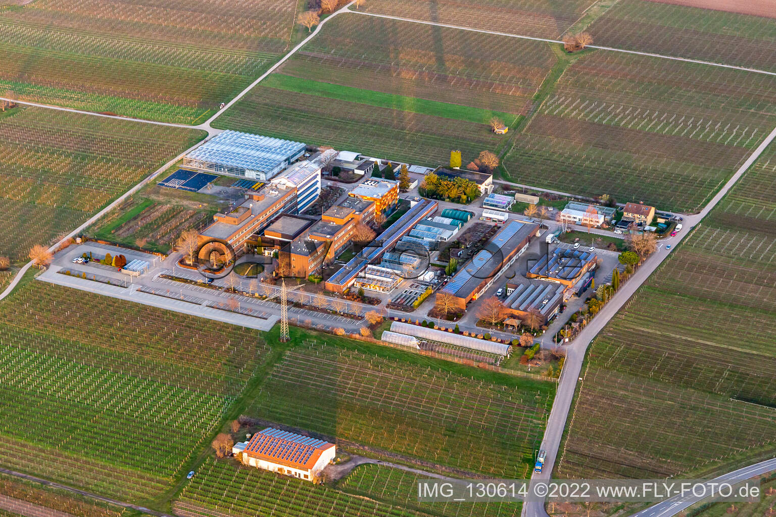 Vue aérienne de RLP Agroscience GmbH, Centre de services ruraux DLR Rhin-Palatinat à le quartier Mußbach in Neustadt an der Weinstraße dans le département Rhénanie-Palatinat, Allemagne