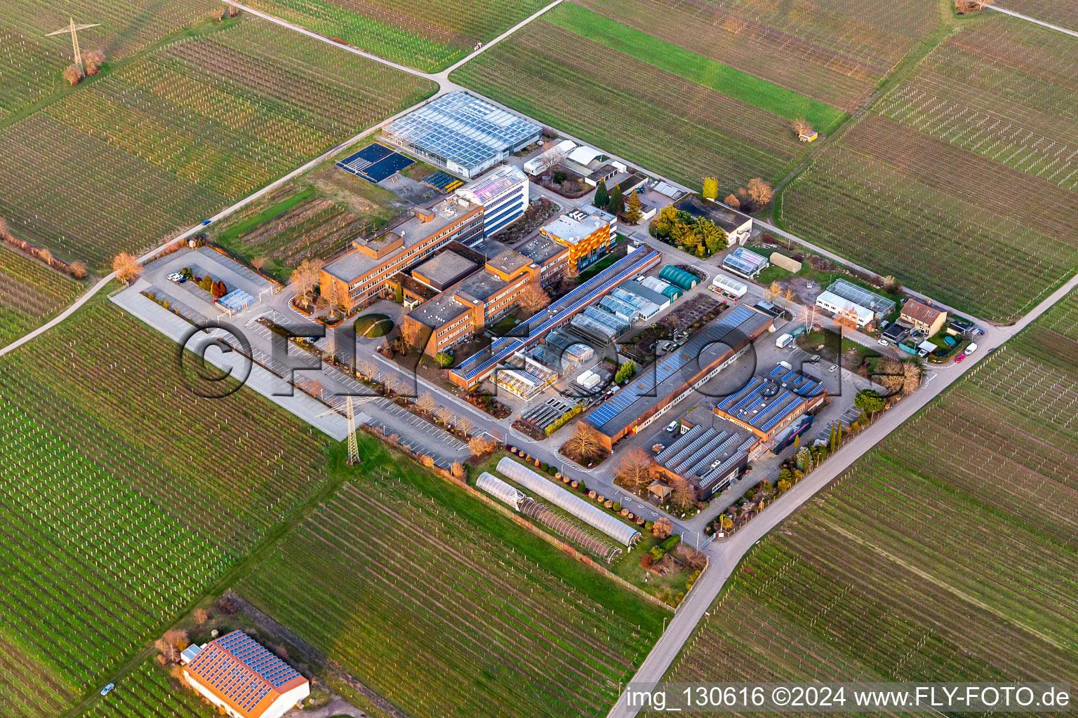 Vue aérienne de RLP Agroscience GmbH, Centre de services ruraux DLR Rhin-Palatinat à le quartier Mußbach in Neustadt an der Weinstraße dans le département Rhénanie-Palatinat, Allemagne