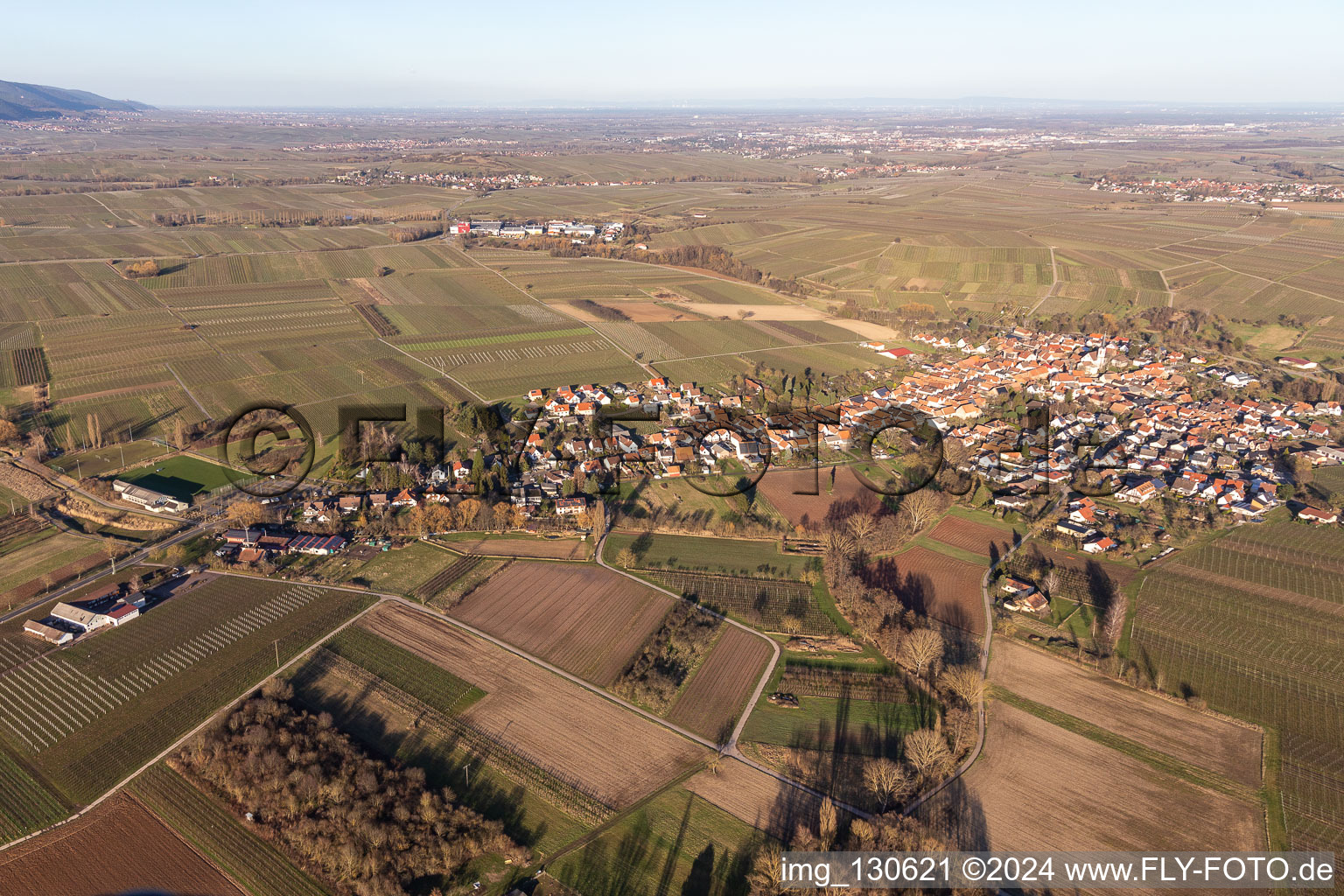 Vue aérienne de Göcklingen dans le département Rhénanie-Palatinat, Allemagne