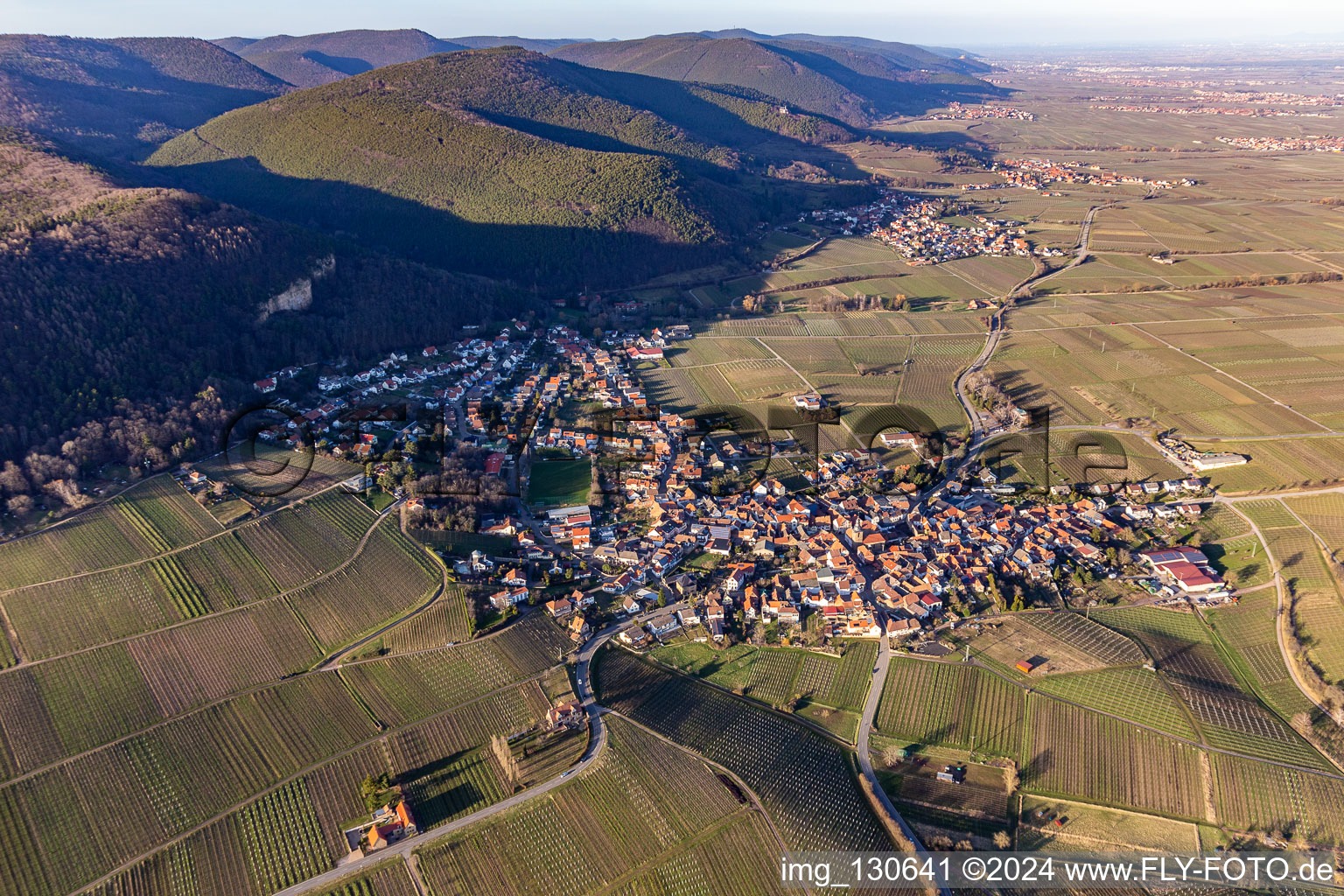 Vue aérienne de Le balcon du sud du Palatinat à Frankweiler dans le département Rhénanie-Palatinat, Allemagne