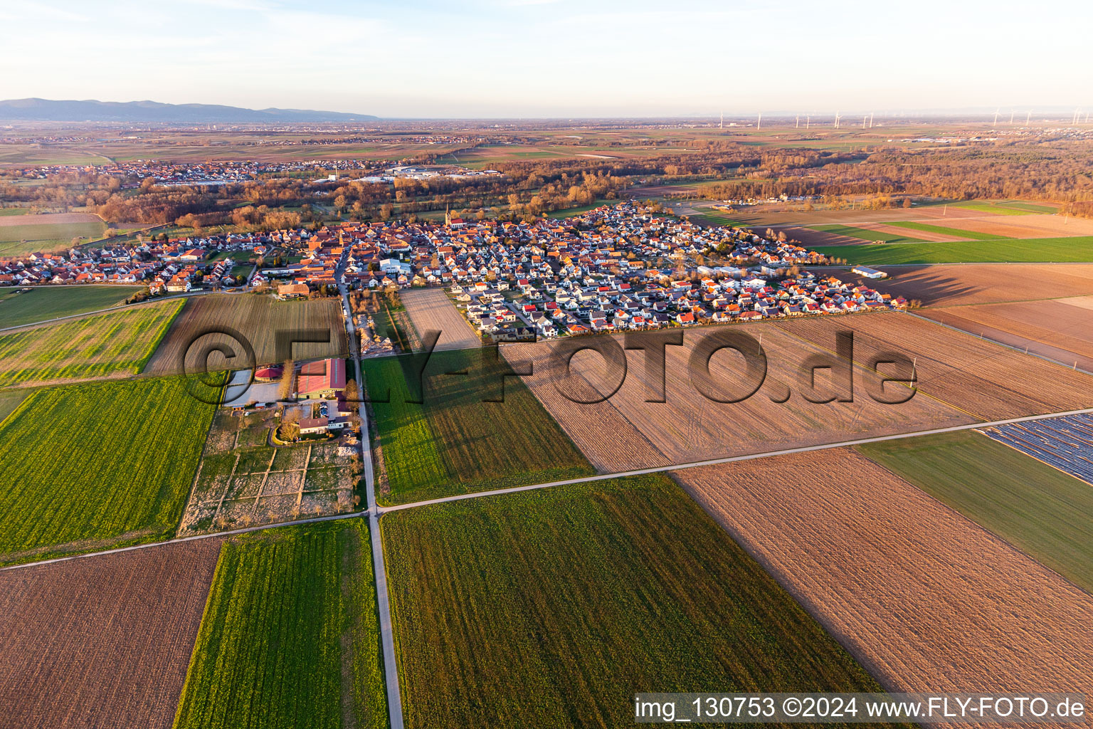 Steinweiler dans le département Rhénanie-Palatinat, Allemagne du point de vue du drone