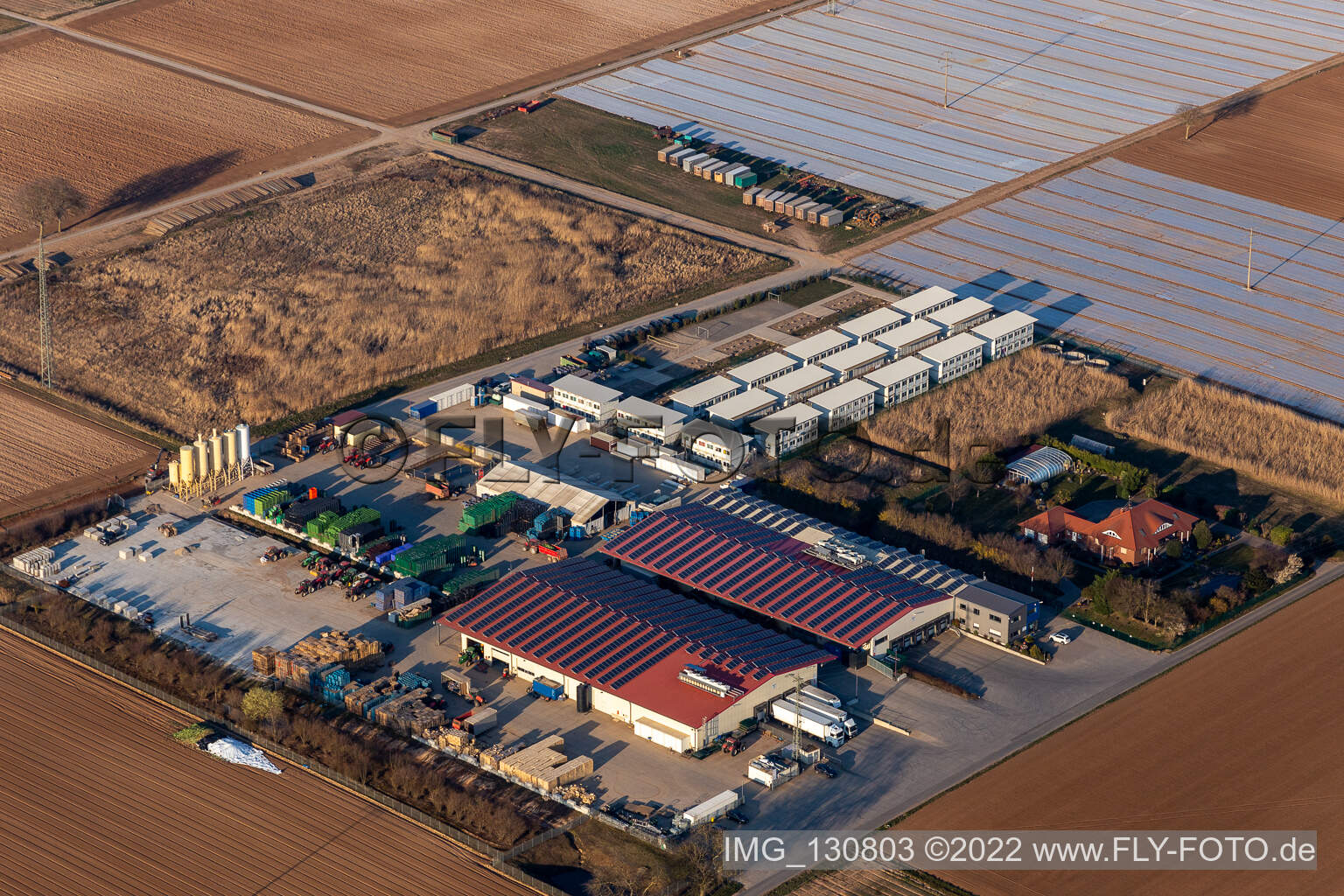 Vue aérienne de Hortulanushof, Stubenbordt GmbH & Co. KG / Dieter Stubenbordt Culture de légumes à Zeiskam dans le département Rhénanie-Palatinat, Allemagne