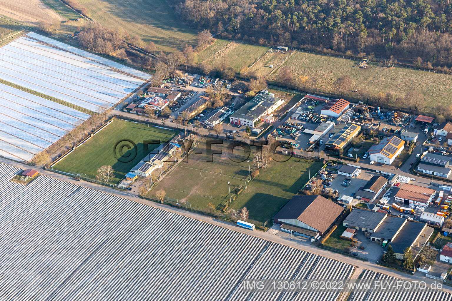 Vue aérienne de Club de football Lustadt eV à Lustadt dans le département Rhénanie-Palatinat, Allemagne