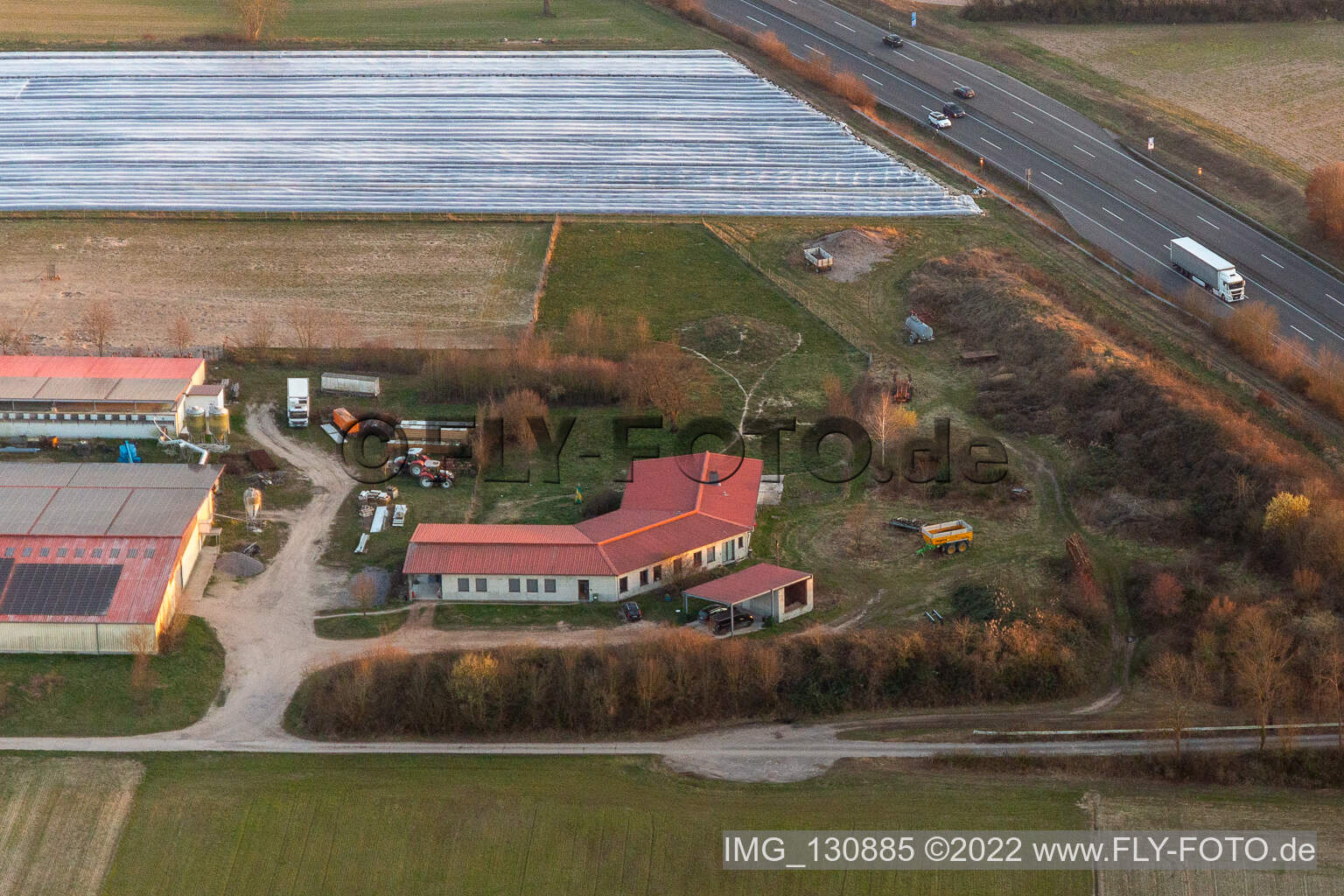 Vue oblique de Ferme de poulets - ferme d'œufs à Erlenbach bei Kandel dans le département Rhénanie-Palatinat, Allemagne