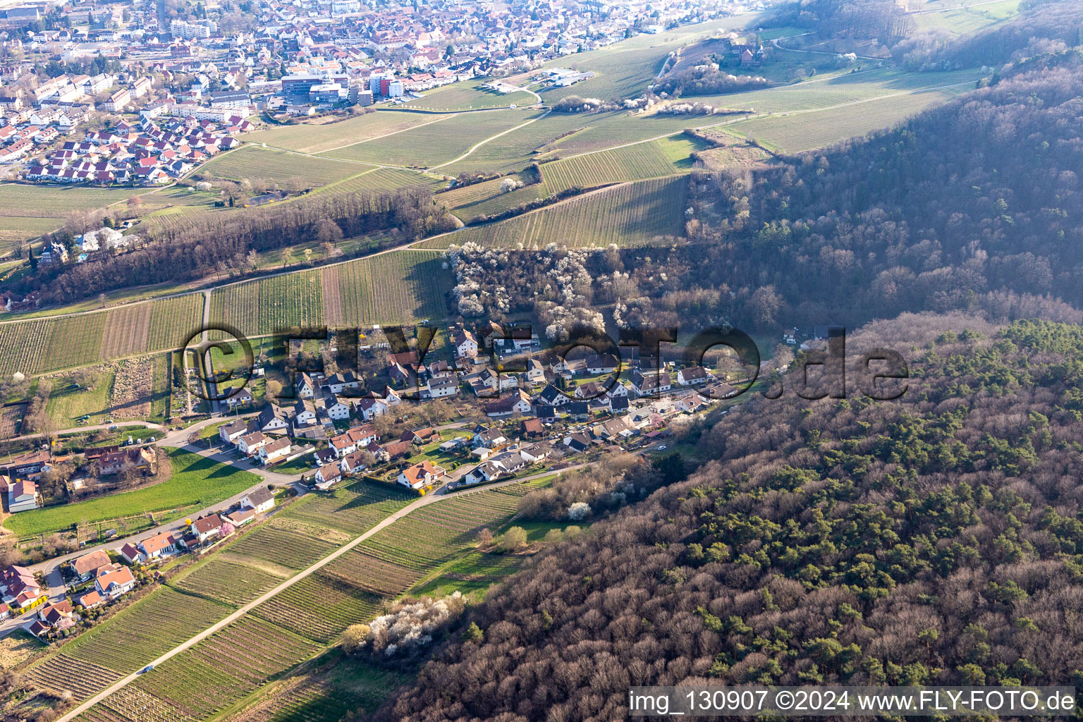 Vue aérienne de Rue du Château Pleisweiler à le quartier Pleisweiler in Pleisweiler-Oberhofen dans le département Rhénanie-Palatinat, Allemagne