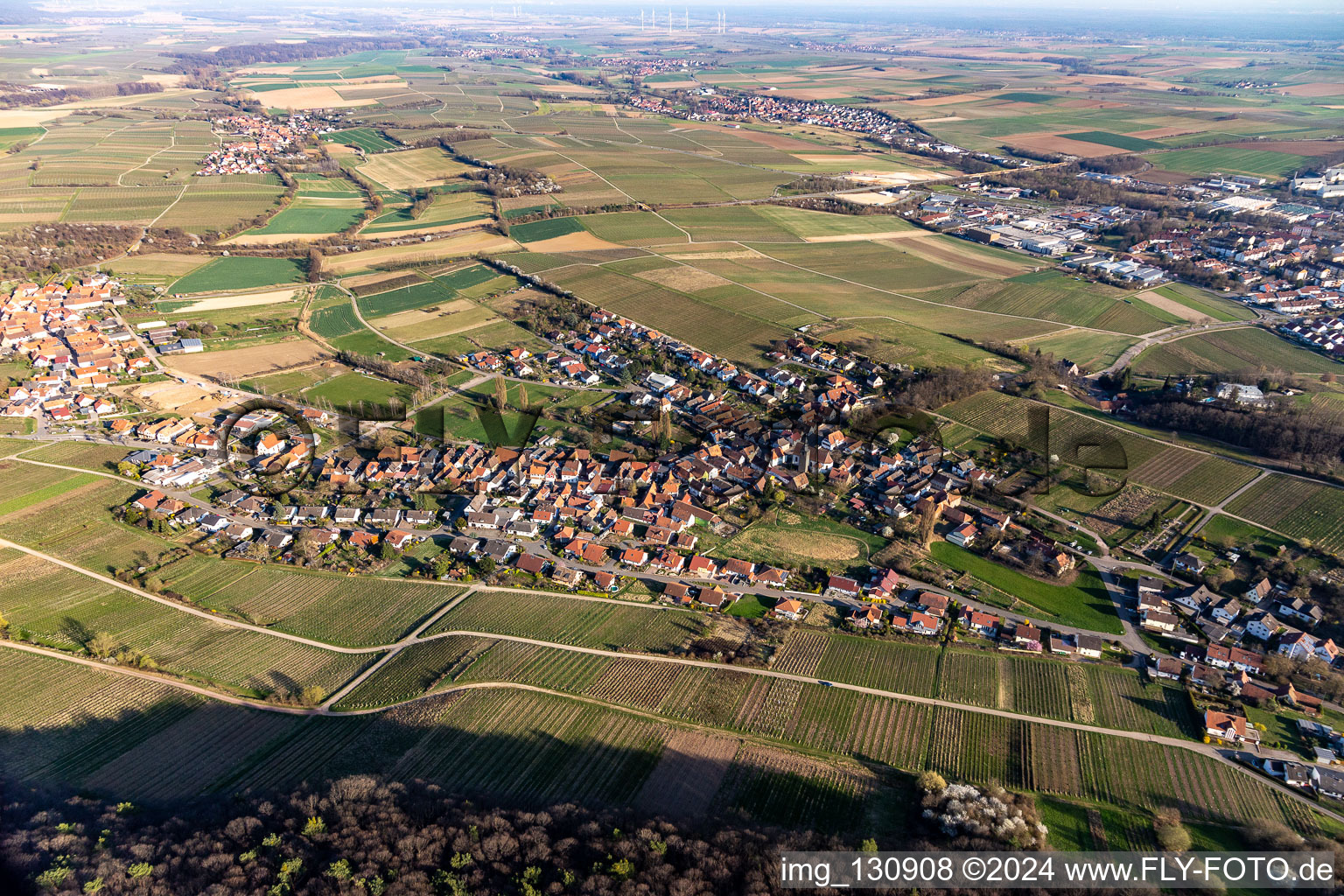 Quartier Pleisweiler in Pleisweiler-Oberhofen dans le département Rhénanie-Palatinat, Allemagne vue du ciel