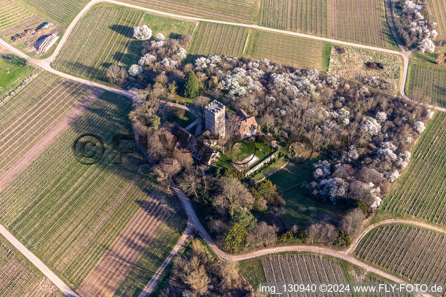 Vue aérienne de Château Saint Paul à Wissembourg dans le département Bas Rhin, France