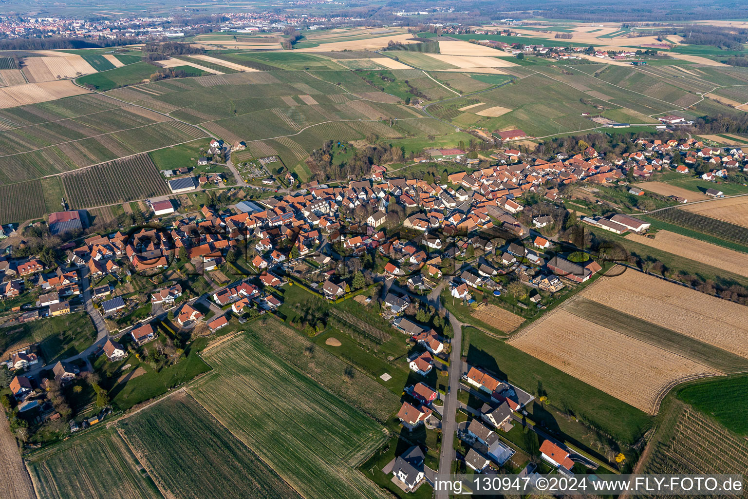 Steinseltz dans le département Bas Rhin, France vue d'en haut