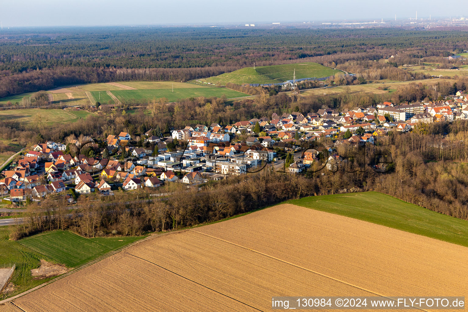 Vue aérienne de Rue Engelgrund à Scheibenhard dans le département Bas Rhin, France