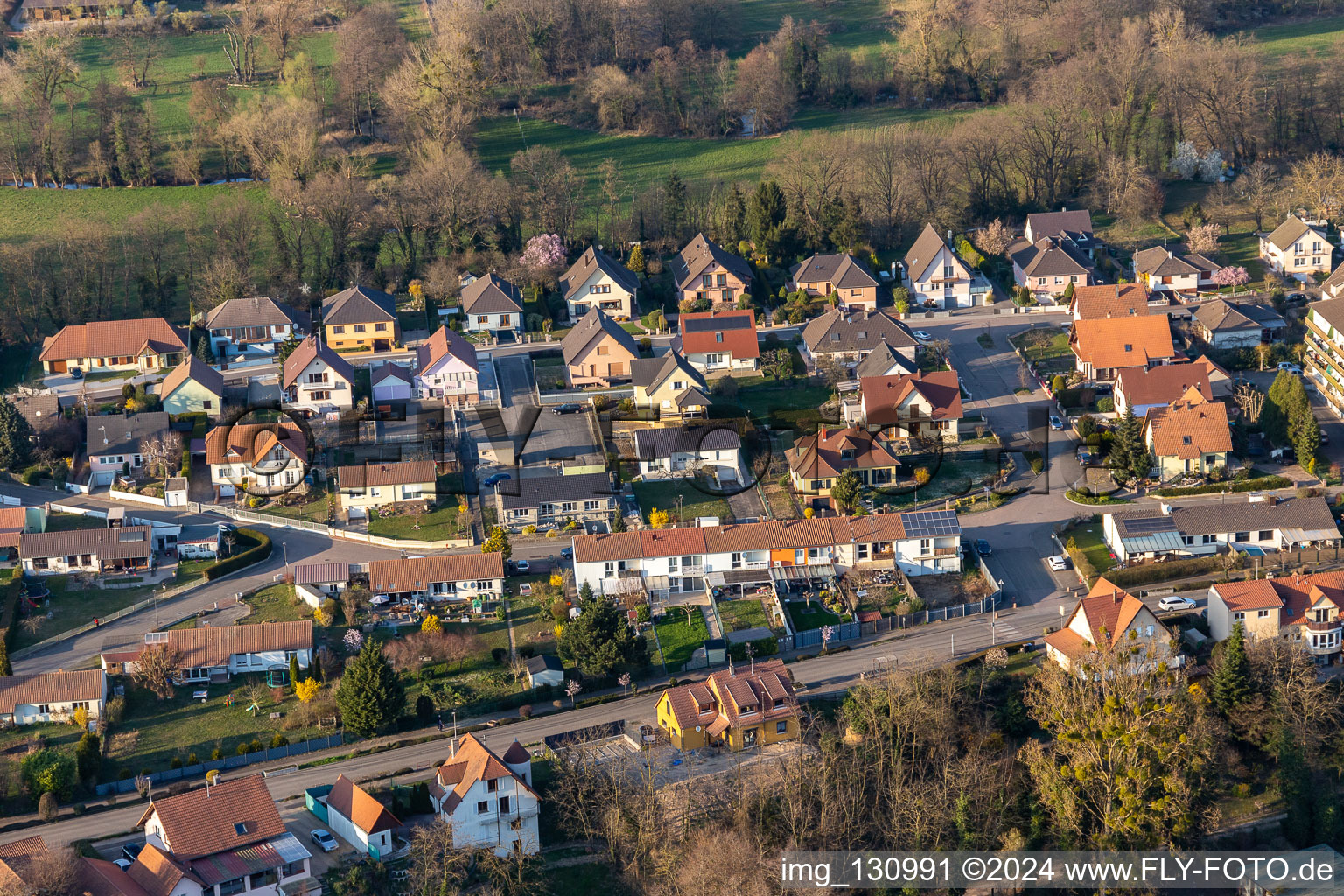 Vue aérienne de Rue du Palais à Scheibenhard dans le département Bas Rhin, France