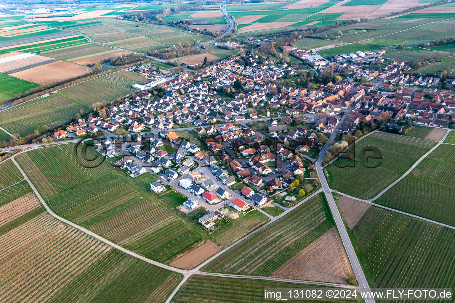 Vue d'oiseau de Insheim dans le département Rhénanie-Palatinat, Allemagne