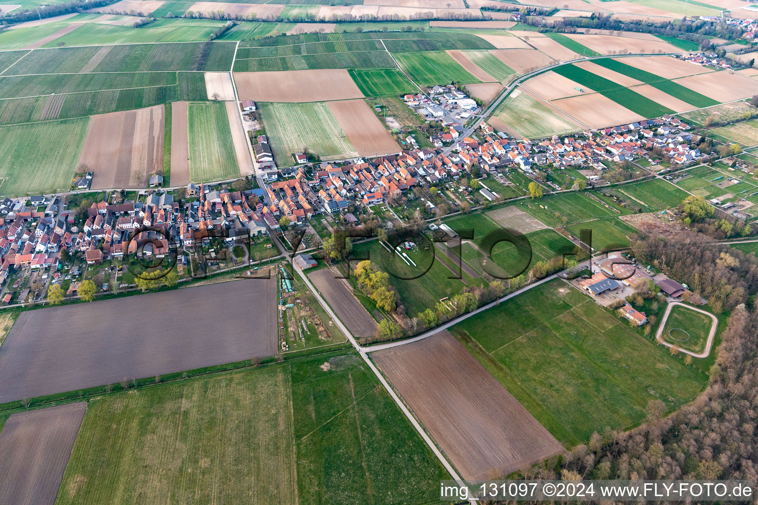 Vue d'oiseau de Freckenfeld dans le département Rhénanie-Palatinat, Allemagne