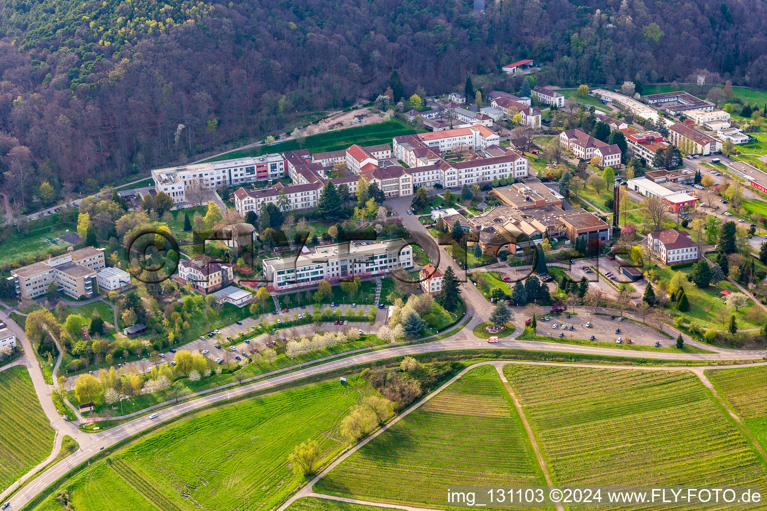 Clinique du Palatinat Landeck à Klingenmünster dans le département Rhénanie-Palatinat, Allemagne depuis l'avion