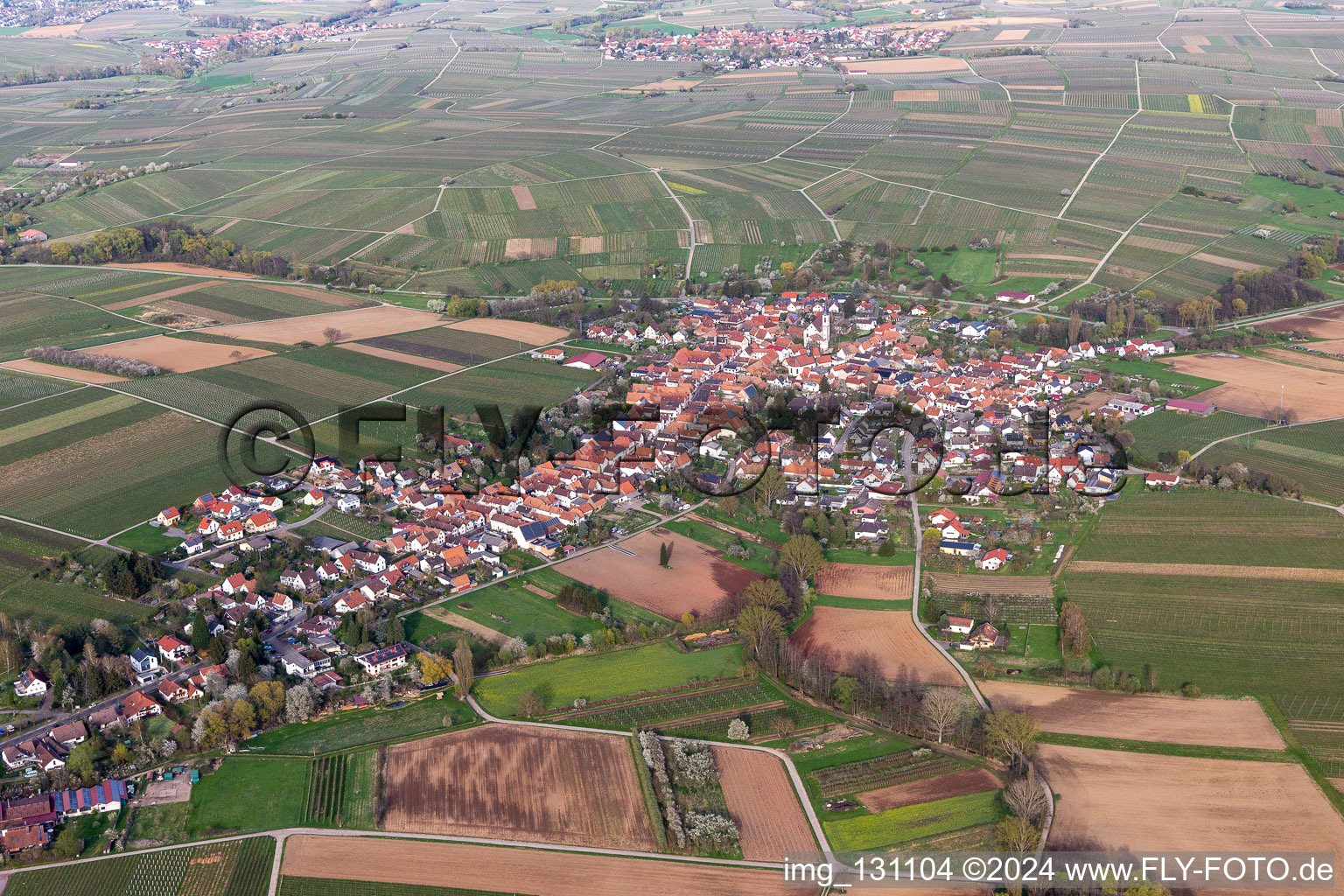 Photographie aérienne de Göcklingen dans le département Rhénanie-Palatinat, Allemagne