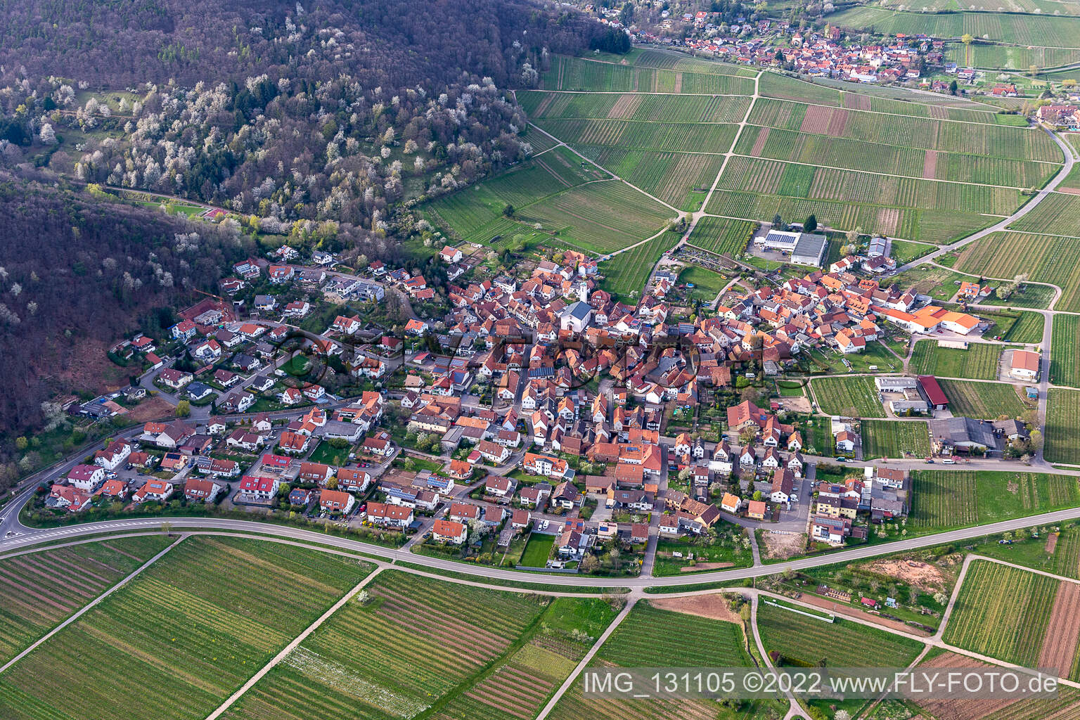 Vue aérienne de Eschbach dans le département Rhénanie-Palatinat, Allemagne