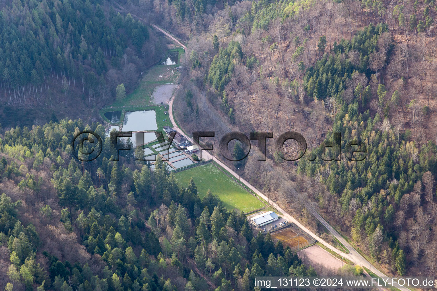 Vue aérienne de Stefan Erber, propriétaire de la forêt palatine de Forellen à Eußerthal dans le département Rhénanie-Palatinat, Allemagne