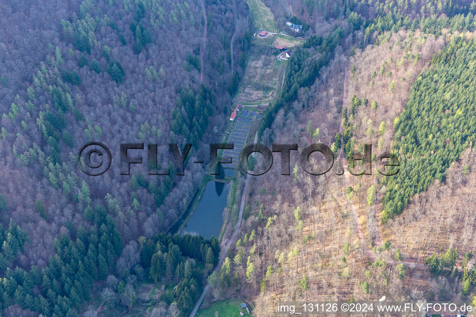 Photographie aérienne de Stefan Erber, propriétaire de la forêt palatine de Forellen à Eußerthal dans le département Rhénanie-Palatinat, Allemagne