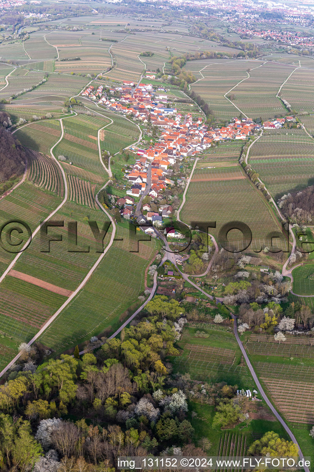 Vue aérienne de Ranschbach dans le département Rhénanie-Palatinat, Allemagne