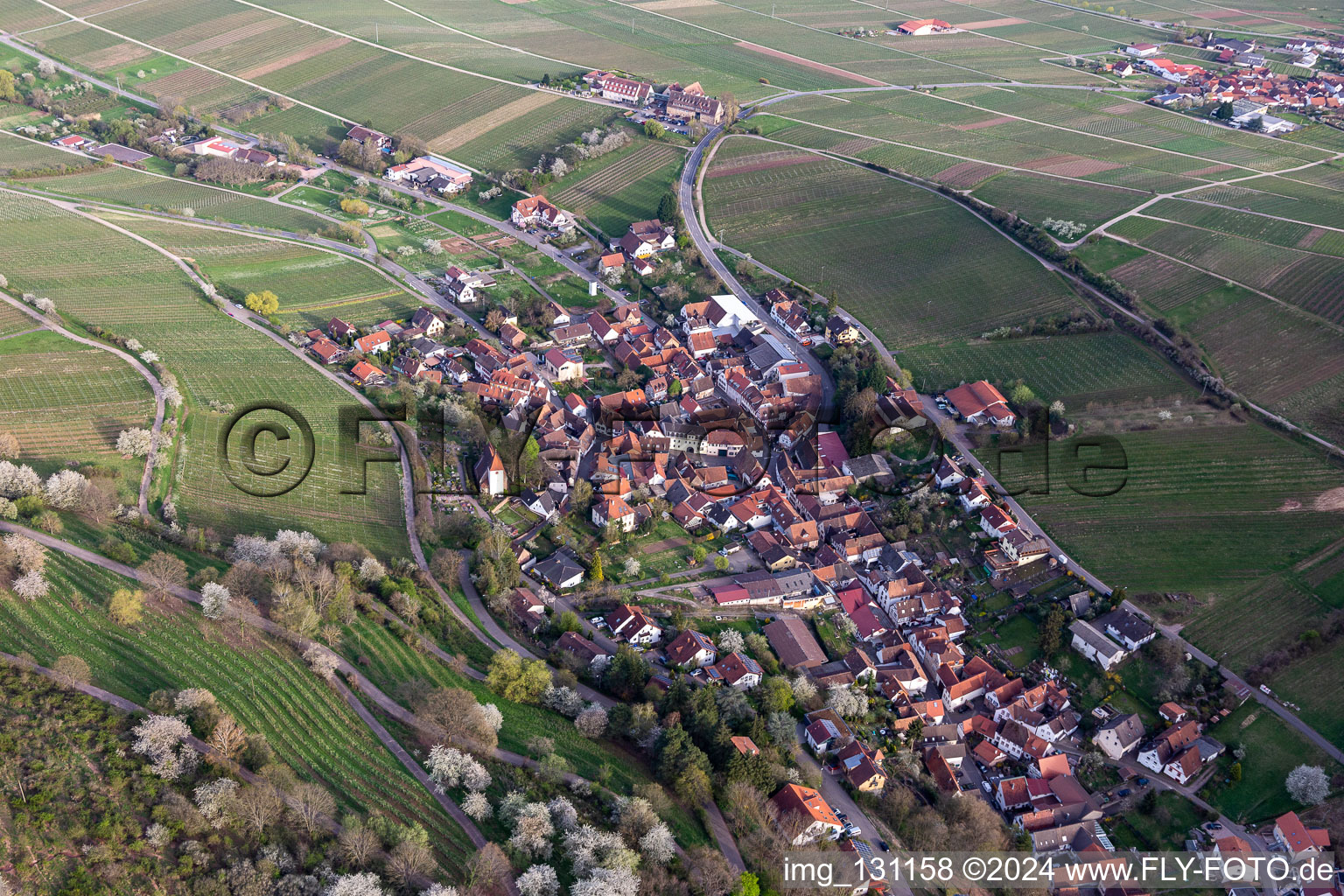 Leinsweiler dans le département Rhénanie-Palatinat, Allemagne depuis l'avion