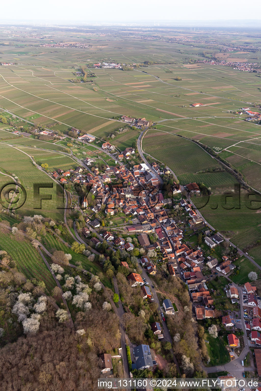 Vue d'oiseau de Leinsweiler dans le département Rhénanie-Palatinat, Allemagne