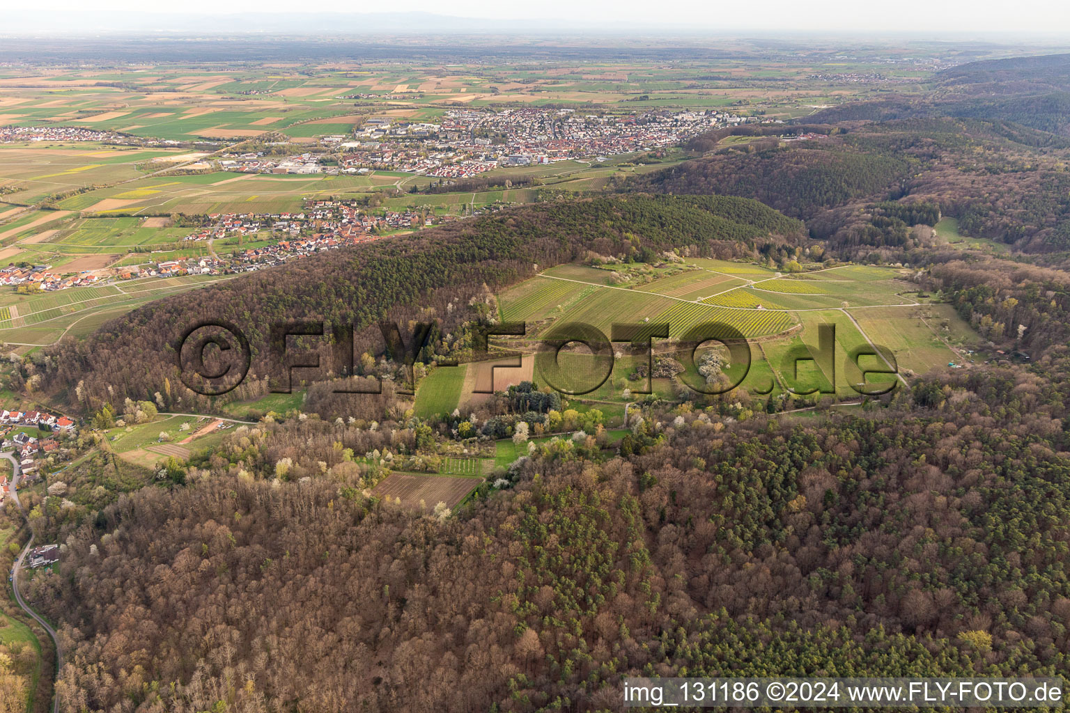 Vue oblique de Haardtrand-Wolfsteig à Pleisweiler-Oberhofen dans le département Rhénanie-Palatinat, Allemagne