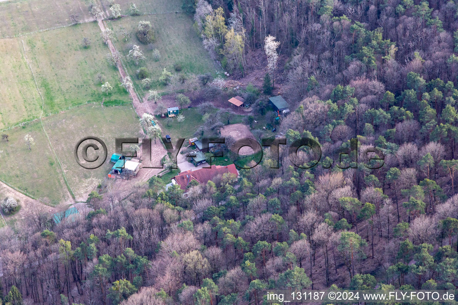 Vue aérienne de Appartement de vacances Saigenranch à Pleisweiler-Oberhofen dans le département Rhénanie-Palatinat, Allemagne