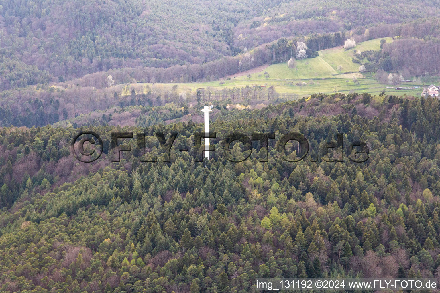 Vue aérienne de Tour de transmission à le quartier Blankenborn in Bad Bergzabern dans le département Rhénanie-Palatinat, Allemagne