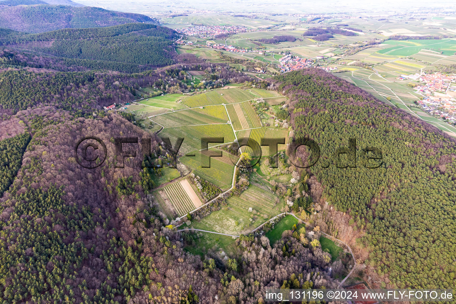 Haardtrand-Wolfsteig à Pleisweiler-Oberhofen dans le département Rhénanie-Palatinat, Allemagne hors des airs