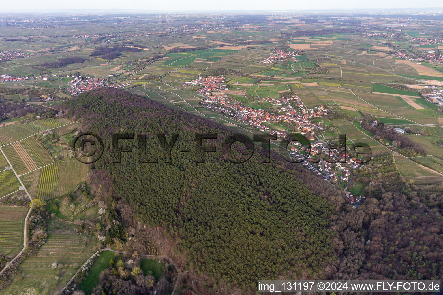 Haardtrand-Wolfsteig à Pleisweiler-Oberhofen dans le département Rhénanie-Palatinat, Allemagne vue d'en haut